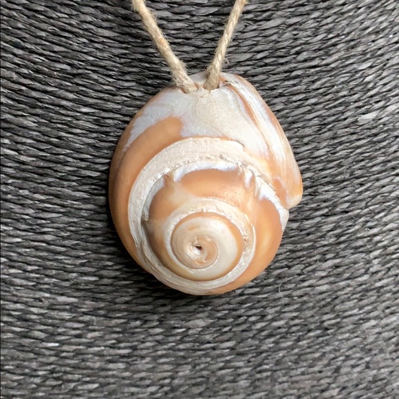 Shell Necklace - Picture 2 of 4